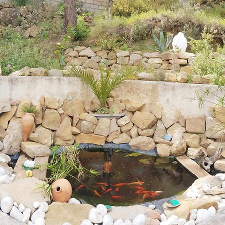 La Villa du Menhir Gîte Bize-Minervois Extérieur photo