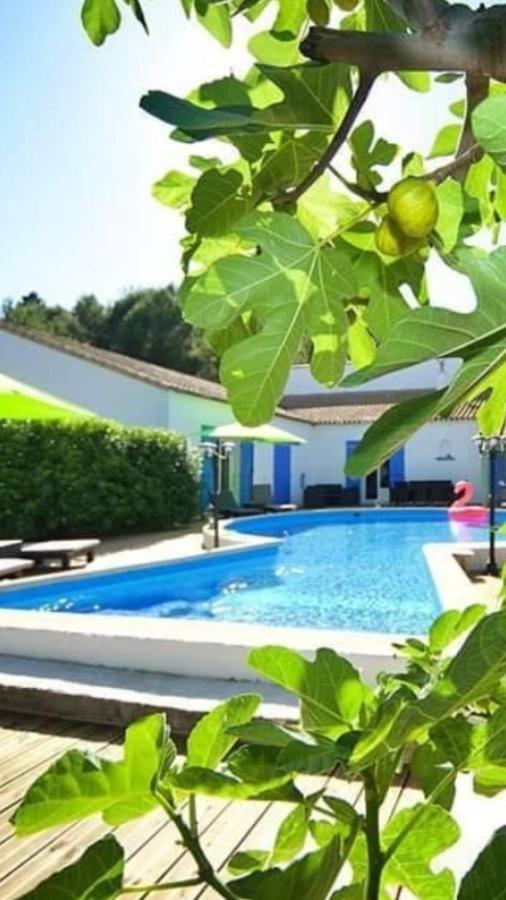 La Villa du Menhir Gîte Bize-Minervois Extérieur photo