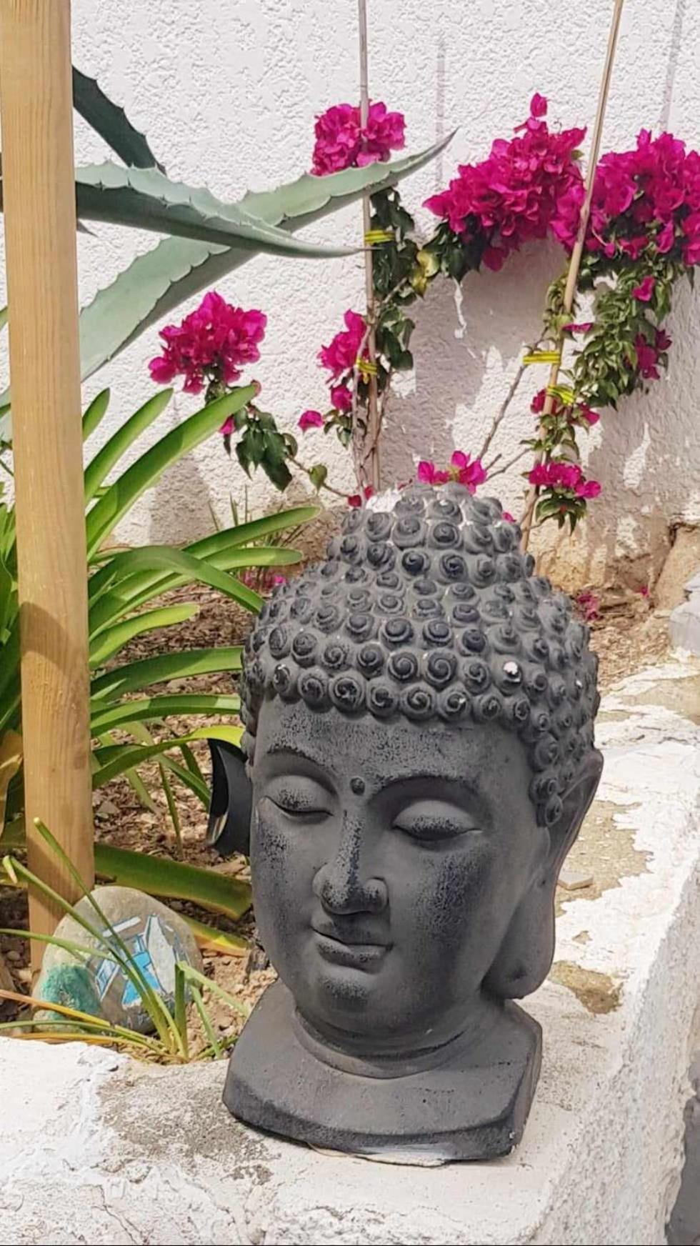 La Villa du Menhir Gîte Bize-Minervois Extérieur photo