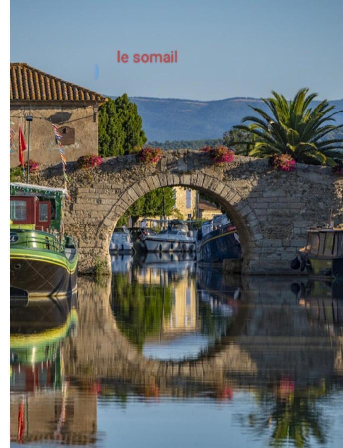 La Villa du Menhir Gîte Bize-Minervois Extérieur photo